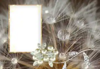 PhotoEffect da categoria Diversos № 169101 PhotoEffect da categoria Diversos № 169101