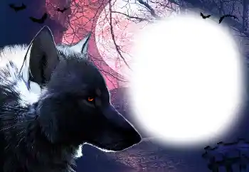 PhotoEffect da categoria Diversos № 16918