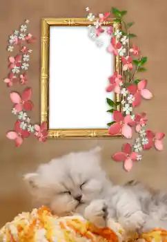 PhotoEffect da categoria Diversos № 169232 PhotoEffect da categoria Diversos № 169232