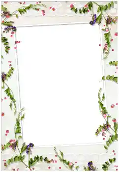 PhotoEffect da categoria Diversos № 17020