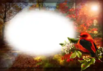 PhotoEffect da categoria Diversos № 170400 PhotoEffect da categoria Diversos № 170400