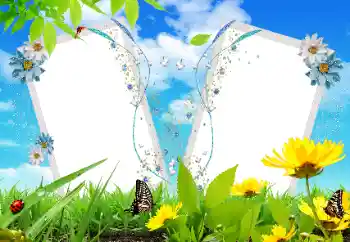 PhotoEffect da categoria Diversos № 17121