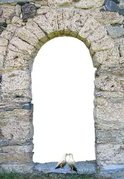 PhotoEffect da categoria Diversos № 171681 PhotoEffect da categoria Diversos № 171681