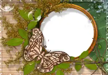 PhotoEffect da categoria Diversos № 17189