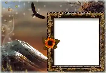 PhotoEffect da categoria Diversos № 172844 PhotoEffect da categoria Diversos № 172844