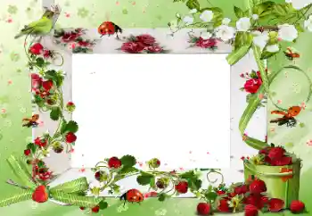 PhotoEffect da categoria Diversos № 172917 PhotoEffect da categoria Diversos № 172917