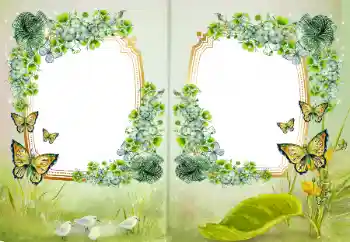 PhotoEffect da categoria Diversos № 172968 PhotoEffect da categoria Diversos № 172968