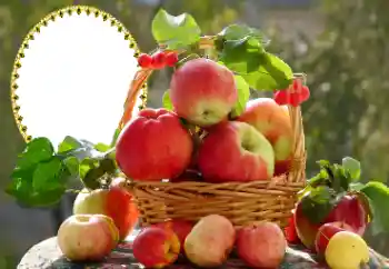 PhotoEffect da categoria Diversos № 173030 PhotoEffect da categoria Diversos № 173030