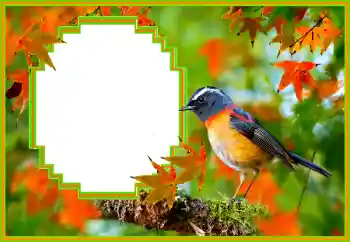 PhotoEffect da categoria Diversos № 173036 PhotoEffect da categoria Diversos № 173036