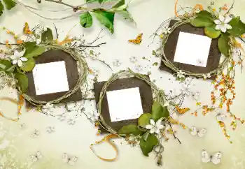 PhotoEffect da categoria Diversos № 175577 PhotoEffect da categoria Diversos № 175577