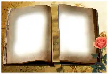 PhotoEffect da categoria Diversos № 180729 PhotoEffect da categoria Diversos № 180729