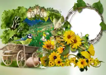 PhotoEffect da categoria Diversos № 180773 PhotoEffect da categoria Diversos № 180773