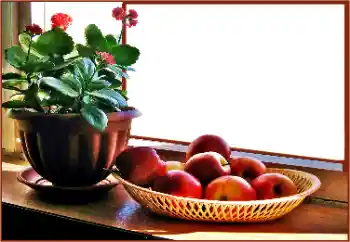 PhotoEffect da categoria Diversos № 180838 PhotoEffect da categoria Diversos № 180838