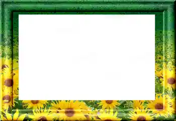 PhotoEffect da categoria Diversos № 1816