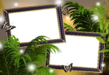 PhotoEffect da categoria Diversos № 181982 PhotoEffect da categoria Diversos № 181982