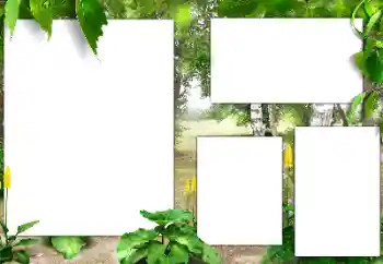 PhotoEffect da categoria Diversos № 182015 PhotoEffect da categoria Diversos № 182015