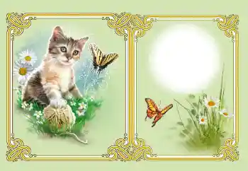 PhotoEffect da categoria Diversos № 182126 PhotoEffect da categoria Diversos № 182126