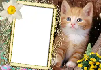 PhotoEffect da categoria Diversos № 183482 PhotoEffect da categoria Diversos № 183482