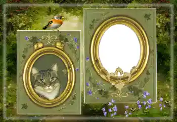 PhotoEffect da categoria Diversos № 183530 PhotoEffect da categoria Diversos № 183530