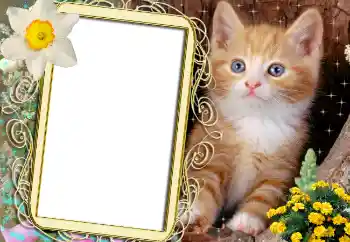 PhotoEffect da categoria Diversos № 1842