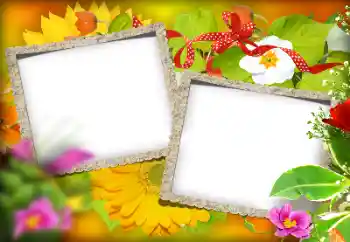 PhotoEffect da categoria Diversos № 184580 PhotoEffect da categoria Diversos № 184580