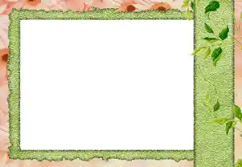 PhotoEffect da categoria Diversos № 184589