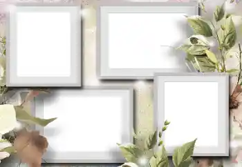 PhotoEffect da categoria Diversos № 184591