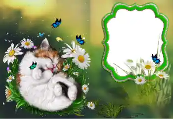 PhotoEffect da categoria Diversos № 184694