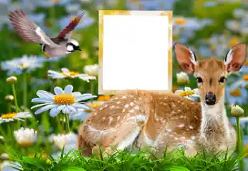 PhotoEffect da categoria Diversos № 185878