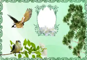 PhotoEffect da categoria Diversos № 185981