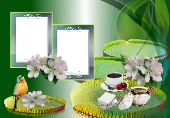 PhotoEffect da categoria Diversos № 185988