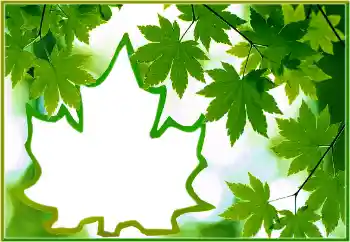 PhotoEffect da categoria Diversos № 186022