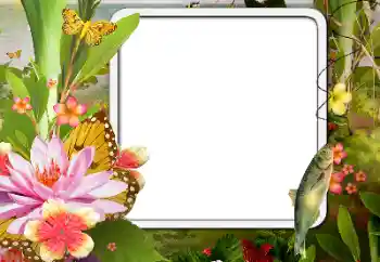 PhotoEffect da categoria Diversos № 188076