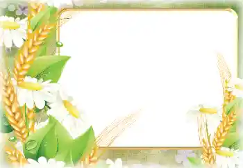 PhotoEffect da categoria Diversos № 190498