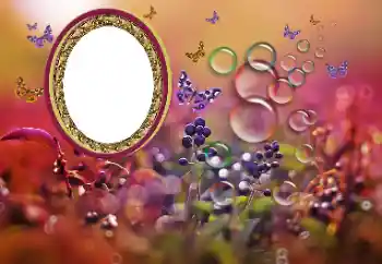 PhotoEffect da categoria Diversos № 191700 PhotoEffect da categoria Diversos № 191700