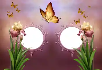 PhotoEffect da categoria Diversos № 191737 PhotoEffect da categoria Diversos № 191737