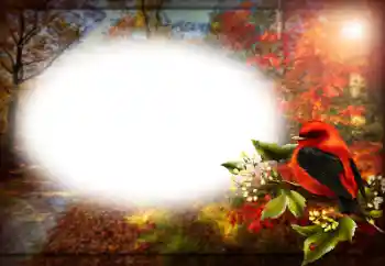 PhotoEffect da categoria Diversos № 191759 PhotoEffect da categoria Diversos № 191759