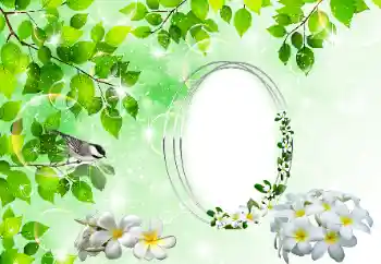 PhotoEffect da categoria Diversos № 196398 PhotoEffect da categoria Diversos № 196398