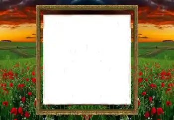 PhotoEffect da categoria Diversos № 196520 PhotoEffect da categoria Diversos № 196520