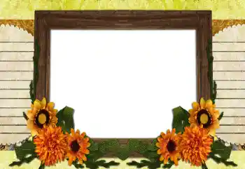 PhotoEffect da categoria Diversos № 196538 PhotoEffect da categoria Diversos № 196538