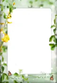 PhotoEffect da categoria Diversos № 198822 PhotoEffect da categoria Diversos № 198822