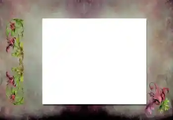 PhotoEffect da categoria Diversos № 198919 PhotoEffect da categoria Diversos № 198919