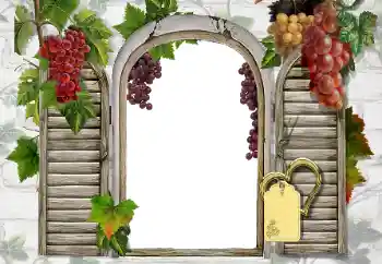 PhotoEffect da categoria Diversos № 20247