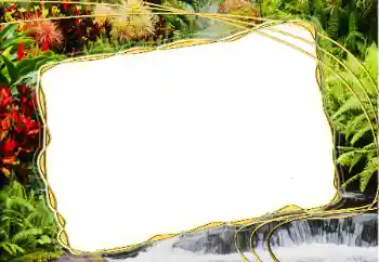 PhotoEffect da categoria Diversos № 20271