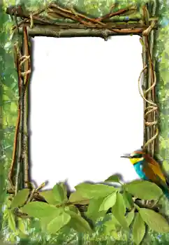 PhotoEffect da categoria Diversos № 20272