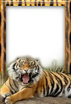 PhotoEffect da categoria Diversos № 20297