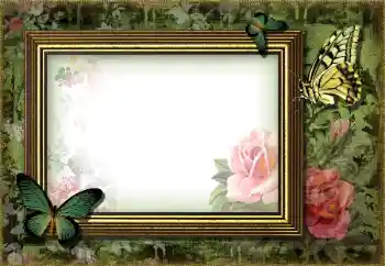 PhotoEffect da categoria Diversos № 203270 PhotoEffect da categoria Diversos № 203270