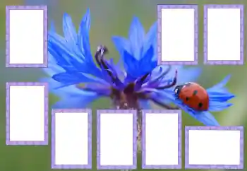 PhotoEffect da categoria Diversos № 205529