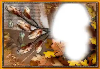 PhotoEffect da categoria Diversos № 205533 PhotoEffect da categoria Diversos № 205533