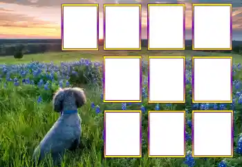 PhotoEffect da categoria Diversos № 205604 PhotoEffect da categoria Diversos № 205604